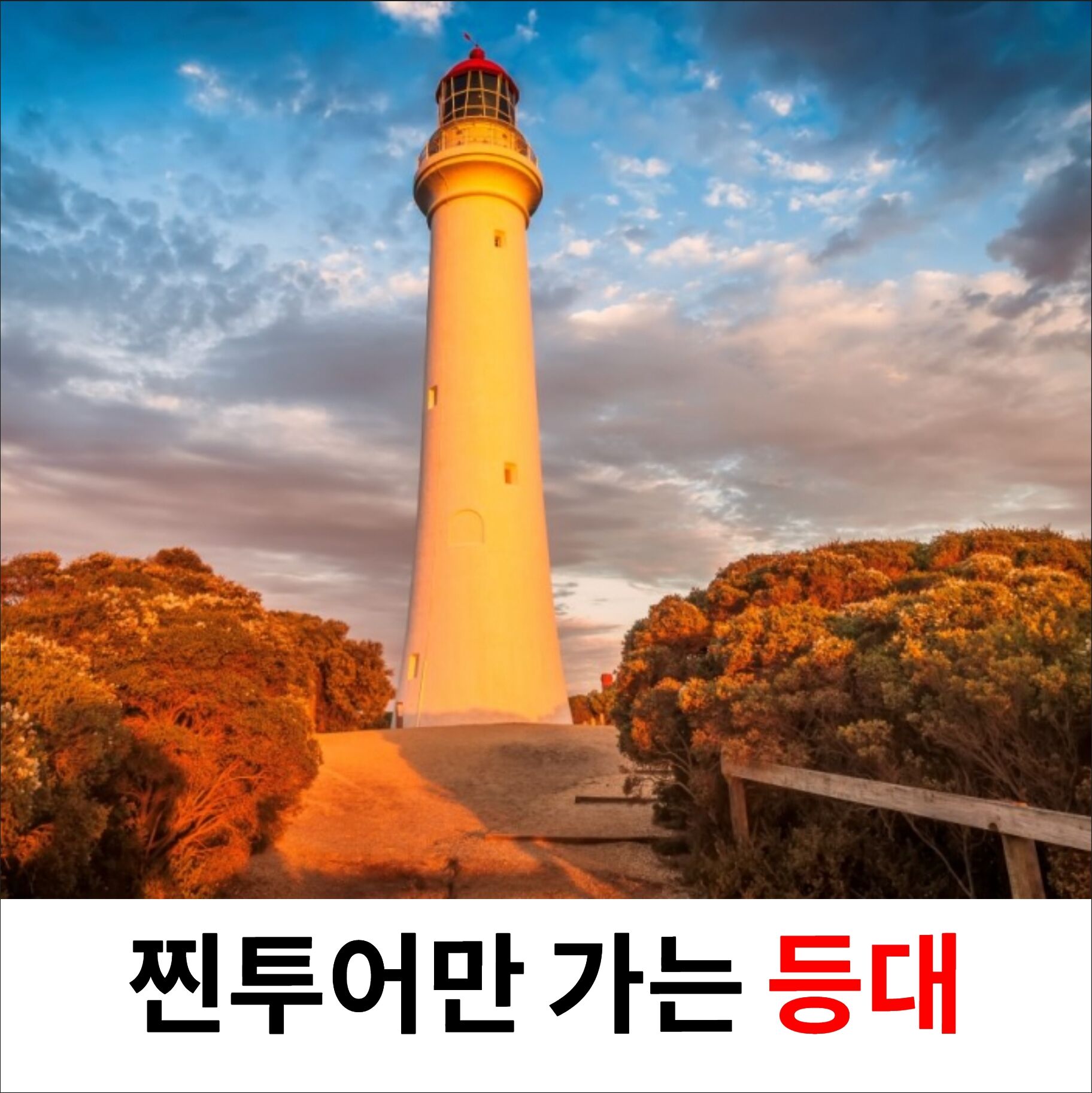 그레이트오션로드 투어 차량 출처 마이리얼트립