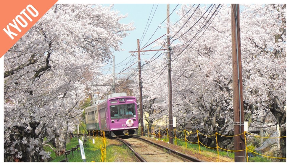 오사카 여행 코스 출처 마이리얼트립